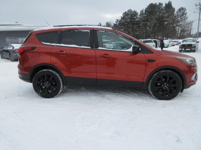 2019 Ford Escape SE 4WD