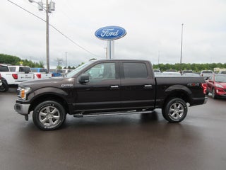 2019 Ford F-150 XLT 4WD SuperCrew 5.5' Box