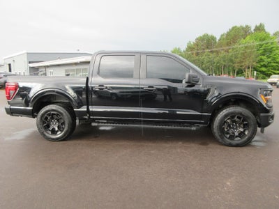 2024 Ford F-150 STX 4WD SuperCrew 5.5' Box