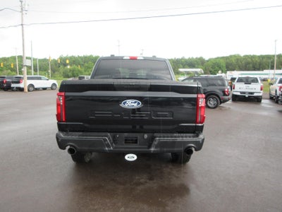 2024 Ford F-150 STX 4WD SuperCrew 5.5' Box