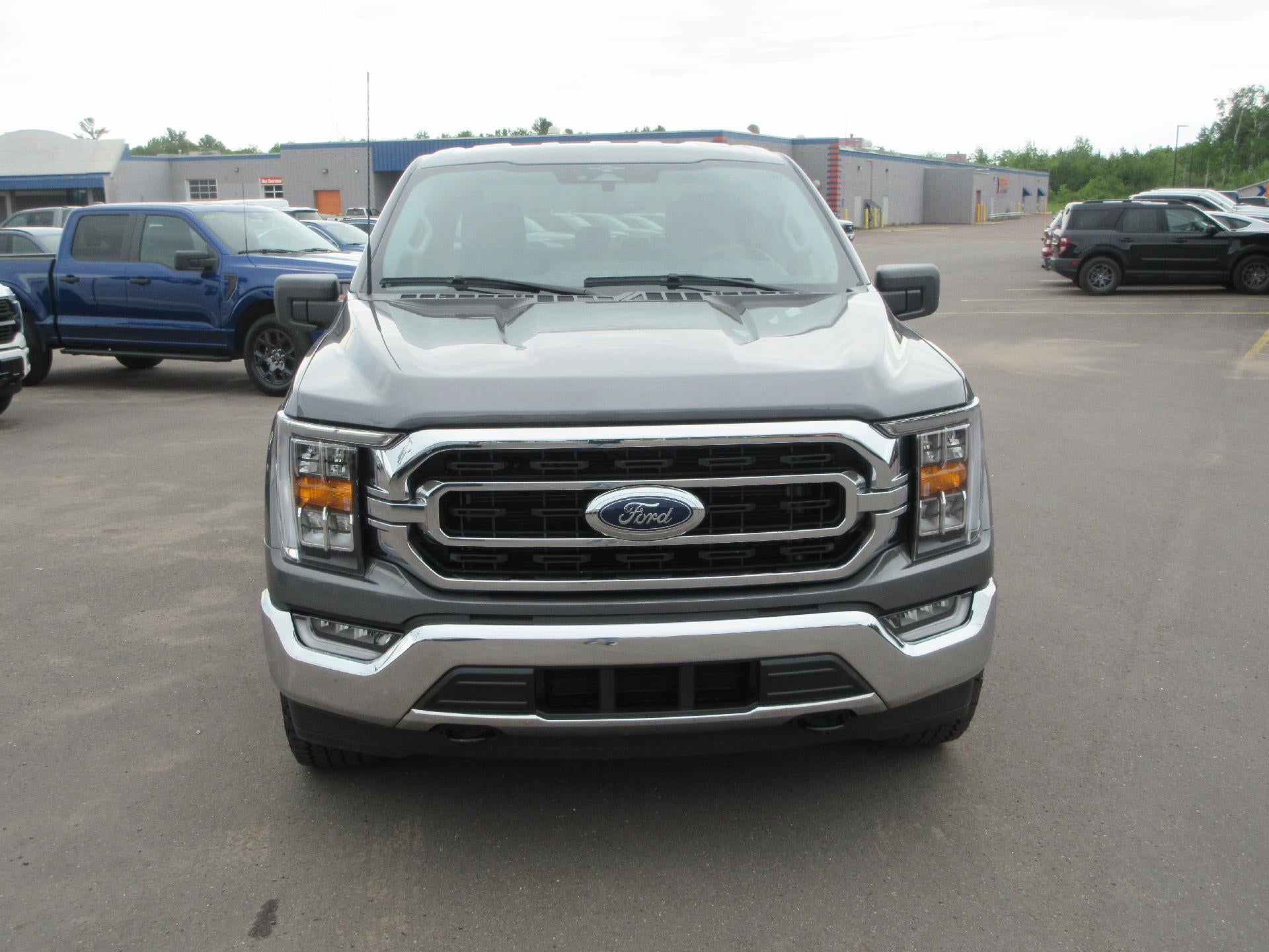 2023 Ford F-150 XLT 4WD SuperCrew 5.5' Box