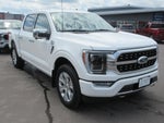 2023 Ford F-150 XL 4WD SuperCrew 5.5' Box